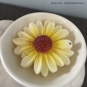 Fondants parfumés décoratifs en forme de marguerite, faits main en cire de soja