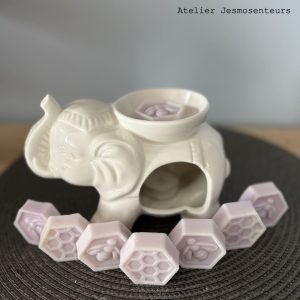 Fondants parfumés décoratifs en forme de ruche et d'abeille, faits main en cire de soja