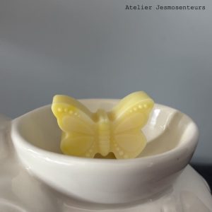 Fondants parfumés décoratifs en forme de papillon, faits main en cire de soja
